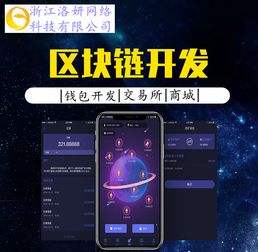 浙江杭州洛妍網(wǎng)絡(luò)軟件開發(fā) 數(shù)字化浪潮中的創(chuàng)新實(shí)踐與前景展望